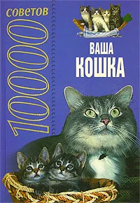 Обложка книги 10000 советов. Ваша кошка, Высоцкая Н.В.