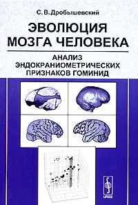 Обложка книги Эволюция мозга человека. Анализ эндокраниометрических признаков гоминид, С. В. Дробышевский