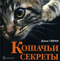 Обложка книги Кошачьи секреты, Дэвид Тэйлор