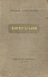 Обложка книги Брусилов, Юрий Слезкин