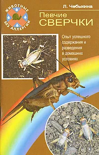 Обложка книги Певчие сверчки. Опыт успешного содержания и разведения в домашних условиях, Л. Чебыкина