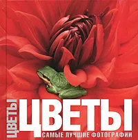 Обложка книги Цветы. Самые лучшие фотографии, Овидио Гуаита