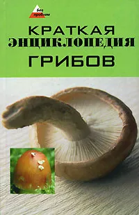 Обложка книги Краткая энциклопедия грибов, Т. Ю. Суворова
