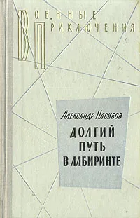 Обложка книги Долгий путь в лабиринте, Александр Насибов