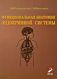 Обложка книги Функциональная анатомия эндокринной системы, И. В. Гайворонский, Г. И. Ничипорук