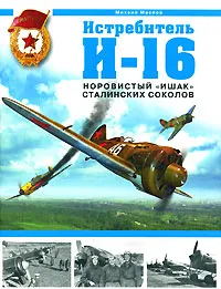 Обложка книги Истребитель И-16. Норовистый 