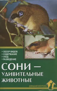 Обложка книги Сони - удивительные животные, А. И. Рахманов