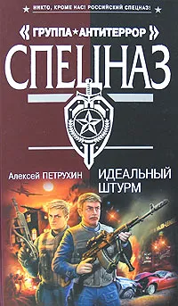 Обложка книги Идеальный штурм, Петрухин Алексей А., Касакина Милана В.