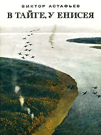 Обложка книги В тайге, у Енисея, Виктор Астафьев