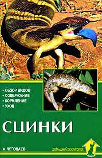 Обложка книги Сцинки. Обзор видов. Содержание. Кормление. Уход, А. Е. Чегодаев