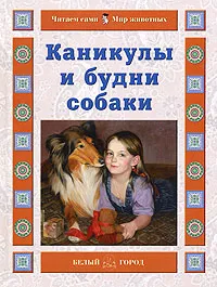 Обложка книги Каникулы и будни собаки, Наталия Ермильченко