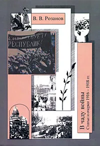 Обложка книги В. В. Розанов. Собрание сочинений в 30 томах. Том 24. В чаду войны. Статьи и очерки 1916-1918 гг., В. В. Розанов