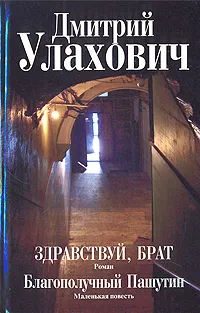 Обложка книги Здравствуй, брат. Благополучный Пашутин, Дмитрий Улахович