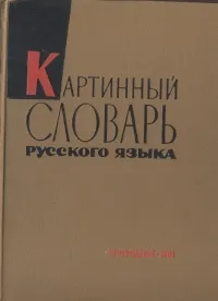 Обложка книги Картинный словарь русского языка, Ю. В. Ванников, А. Н. Щукин