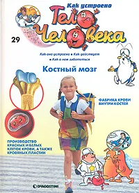 Обложка книги Как устроено тело человека. Выпуск 29. Костный мозг, Альбер Барилле