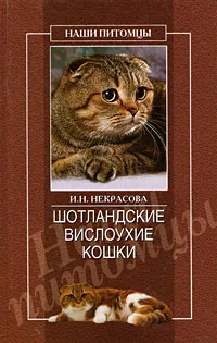 Обложка книги Шотландские вислоухие кошки, И. Н. Некрасова