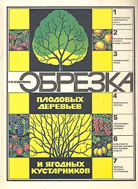 Обложка книги Обрезка плодовых деревьев и ягодных кустарников, Кудрявец Роман Петрович