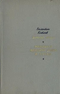 Обложка книги Зимний ветер. Маленькая железная дверь в стене, Валентин Катаев