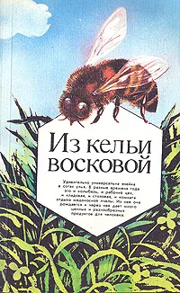 Обложка книги Из кельи восковой, Пастушенков Леонид Васильевич