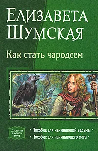 Обложка книги Как стать чародеем, Елизавета Шумская