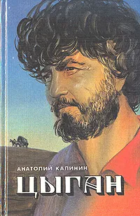 Обложка книги Цыган, Анатолий Калинин