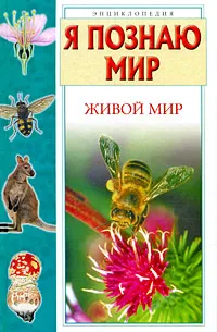 Обложка книги Я познаю мир. Живой мир, А. Ю. Целлариус