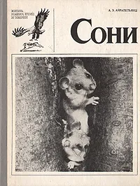 Обложка книги Сони, А. Э. Айрапетьянц