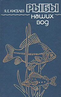 Обложка книги Рыбы наших вод, Я. Е. Киселев