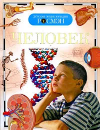 Обложка книги Человек, М. О. Лукьянов, Н. Н. Малофеева, Л. С. Сергеева, Л. Е. Этинген