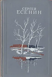 Обложка книги С. Есенин. Избранное, С. Есенин