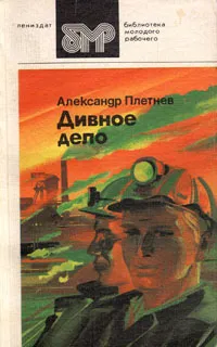 Обложка книги Дивное дело, Александр Плетнев