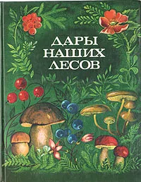 Обложка книги Дары наших лесов, Василий Саутин,Валентина Фомина,Зоя Валова