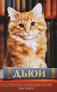 Обложка книги Дьюи. Кот из библиотеки, который потряс весь мир, Вики Майрон