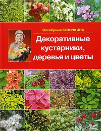 Обложка книги Декоративные кустарники, деревья и цветы, Октябрина Ганичкина