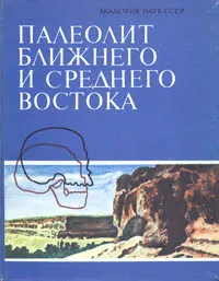 Обложка книги Палеолит Ближнего и Среднего Востока, Зоя Абрамова,Павел Борисковский,Нина Гурина