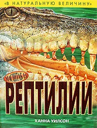 Обложка книги Рептилии, Ханна Уилсон