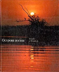 Обложка книги Острова жизни, Мухин Измаил Алексеевич