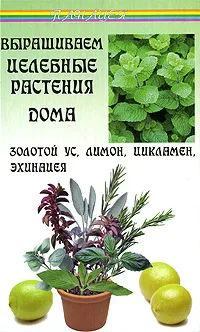 Обложка книги Выращиваем целебные растения дома. Золотой ус, лимон, цикламен, эхинацея, Казьмин Виктор Дмитриевич