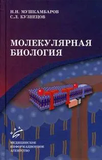 Обложка книги Молекулярная биология, Н. Н. Мушкамбаров, С. Л. Кузнецов