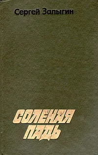 Обложка книги Соленая Падь, Сергей Залыгин