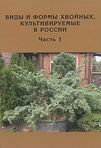 Обложка книги Виды и формы хвойных, культивируемые в России. Часть 1, Д. Л. Матюхин, О. С. Манина, Н. С. Королева