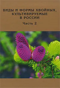 Обложка книги Виды и формы хвойных, культивируемые в России. Часть 2. Picea A. Dietr., Thuja L., Д. Л. Матюхин, О. С. Манина, Е. С. Сысоева