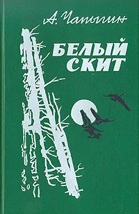 Обложка книги Белый скит, А. Чапыгин