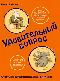 Обложка книги Удивительный вопрос, Дэвид Фельдман