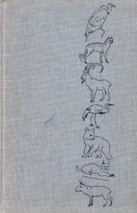 Обложка книги Животный мир и природа СССР, Бобринский Николай Алексеевич
