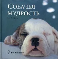 Обложка книги Собачья мудрость, Скворцов Дмитрий Владимирович