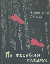 Обложка книги По бесовым следам, Доманский Ярослав Витальевич, Столяр Абрам Давидович