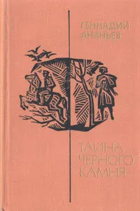 Обложка книги Тайна черного камня, Геннадий Ананьев