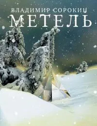 Обложка книги Метель, Владимир Сорокин
