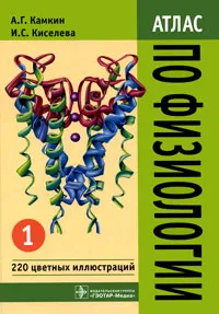 Обложка книги Атлас по физиологии. В 2 томах. Том 1, А. Г. Камкин, И. С. Киселева